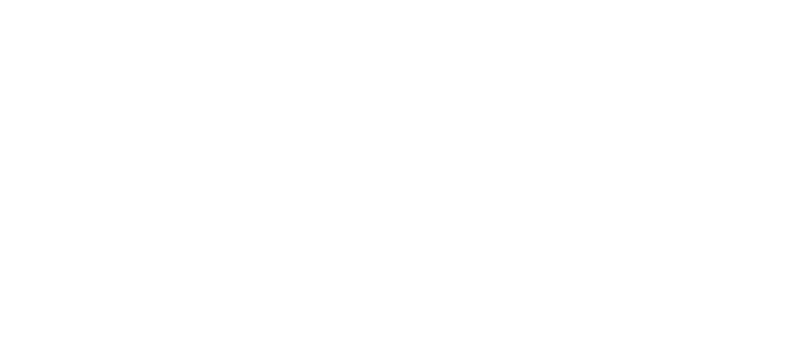 TroyanRun - По стъпките на Васил Левски